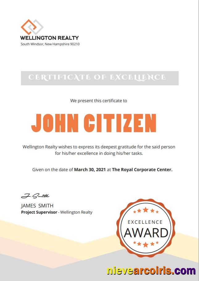 USA Excellence cert Version 2